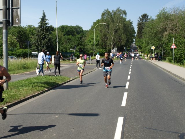 BFL 2018